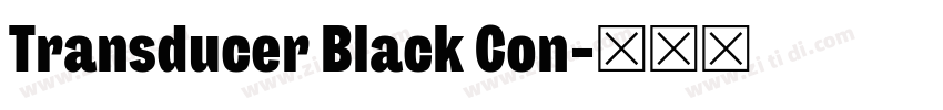 Transducer Black Con字体转换